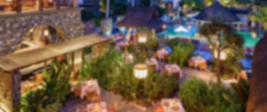 Luxury Honeymoon Bliss at Le Jardin: Spa Discounts, Romantic Dinners, and Exclusive Perks Await!