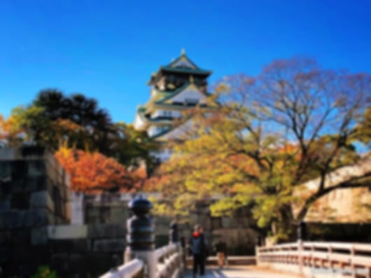 Stunning 8 Nights Japan Trip Package from India