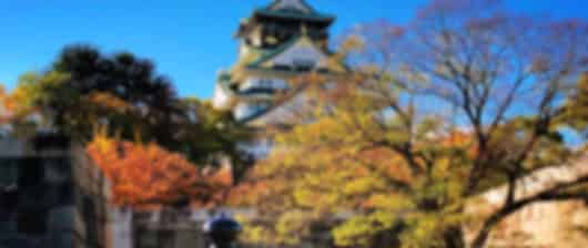 Stunning 8 Nights Japan Trip Package from India