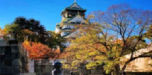 Stunning 8 Nights Japan Trip Package from India