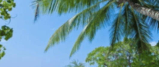 Makunudu Island Maldives Packages For 5 Nights / 6 Days