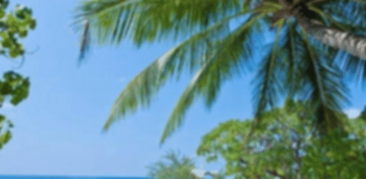 Makunudu Island Maldives Packages For 5 Nights / 6 Days