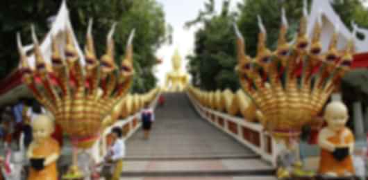 Magnificent 6 Nights Pattaya Tour