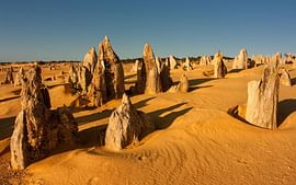 Energizing 15 Days Perth Honeymoon Package