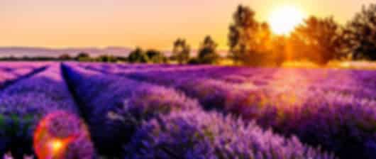 Magnificent 6 Nights South France Tour Packages
