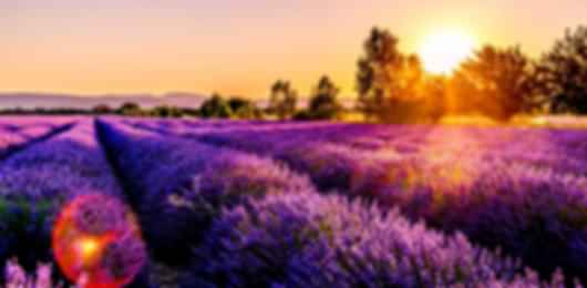 Magnificent 6 Nights South France Tour Packages