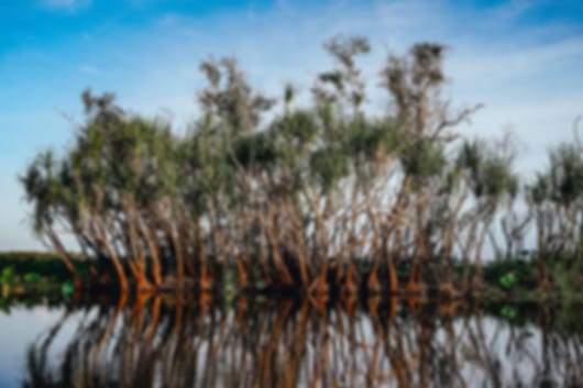 Perfect 5 days to Darwin and Brisbane Australia Tour Packages