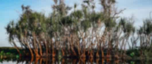 Perfect 5 days to Darwin and Brisbane Australia Tour Packages