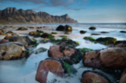 10 days Fun-filled South Africa Vacation Packages