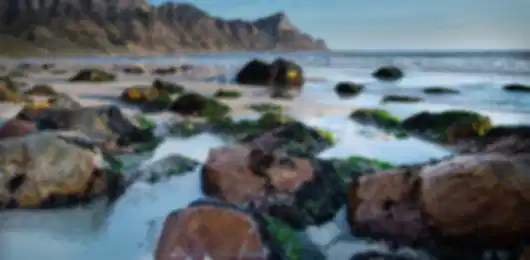 10 days Fun-filled South Africa Vacation Packages
