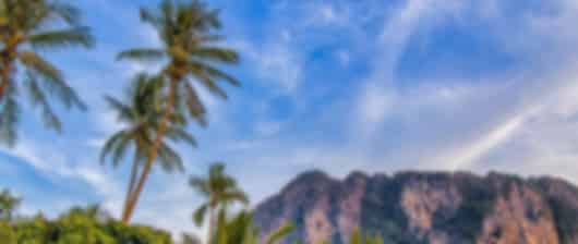 Scenic 11 Nights Phuket Krabi Honeymoon Package