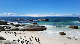 Unveil South Africa: 10-Day Adventure for True Wanderers!