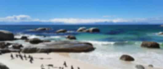 Unveil South Africa: 10-Day Adventure for True Wanderers!