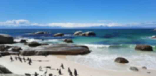 Unveil South Africa: 10-Day Adventure for True Wanderers!