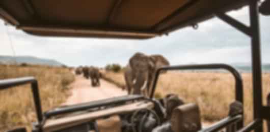 South Africa's Splendor: 7 Nights of Exquisite Tours