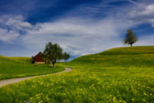 A Scenic Retreat: An Ideal 6N Switzerland Tour