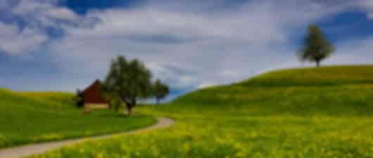 A Scenic Retreat: An Ideal 6N Switzerland Tour