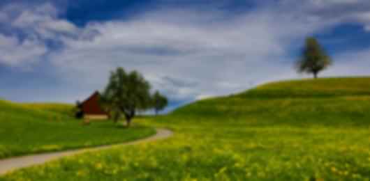 A Scenic Retreat: An Ideal 6N Switzerland Tour