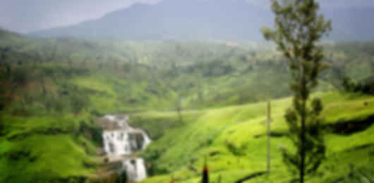 Journey Through Sri Lanka: 6 Nights in Kandy, Nuwara Eliya, Mirissa, and Colombo