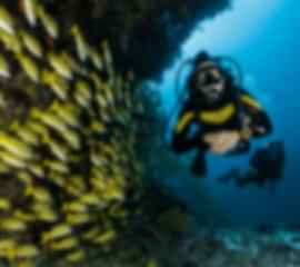 4-Day Dubai Tour Package: Unveil the Wonders of the City