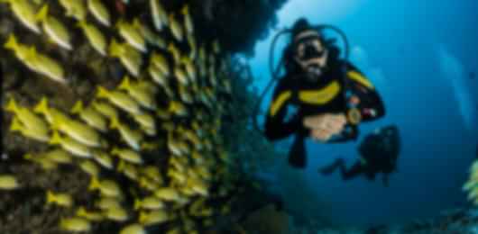 The Exotic 6 Days Dubai Honeymoon Packages For Couples
