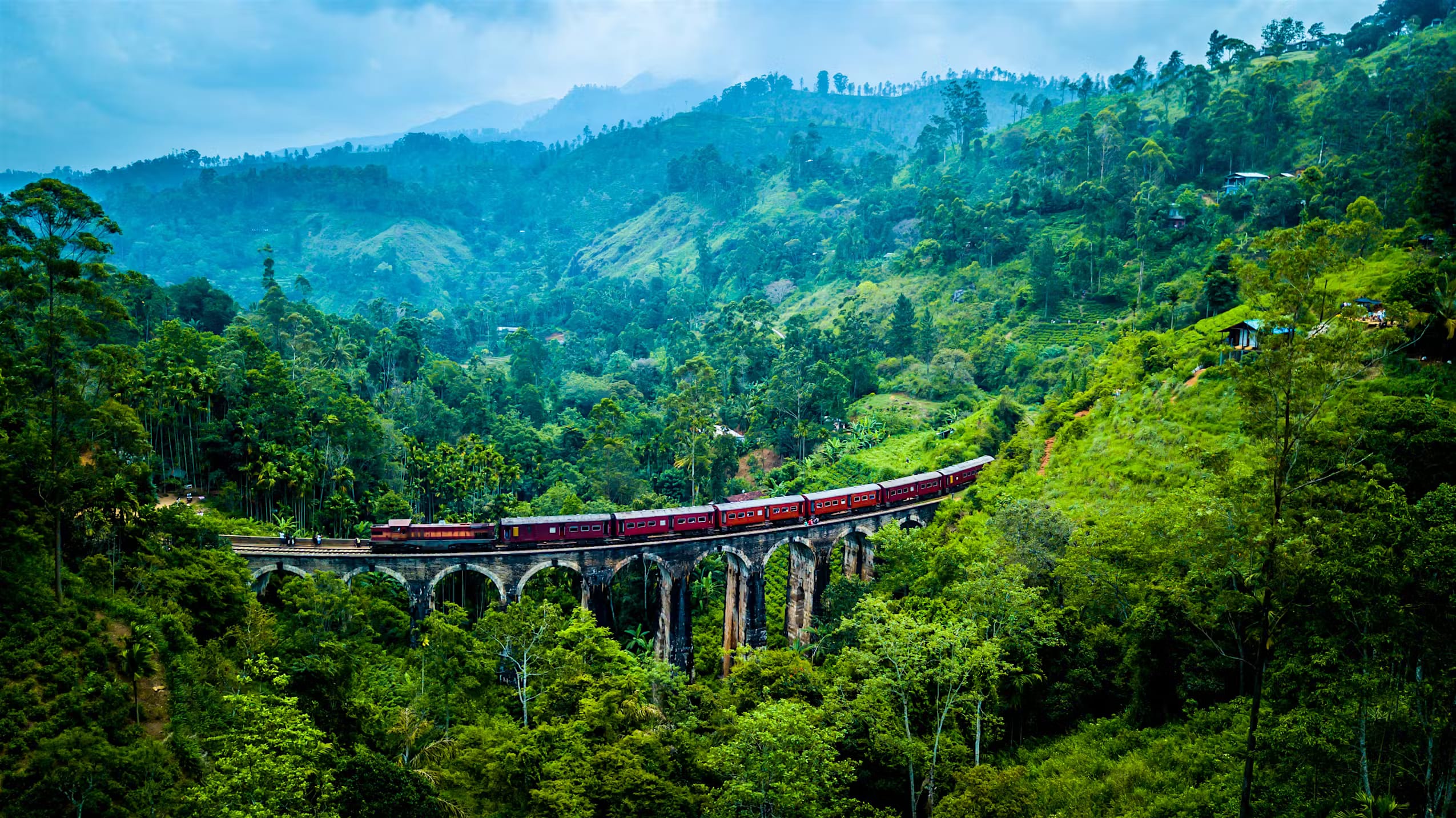 Tea Plantations to Tropical Beaches: 5 Nights in Kandy, Nuwara Eliya, and Bentota