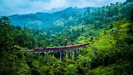 Tea Plantations to Tropical Beaches: 5 Nights in Kandy, Nuwara Eliya, and Bentota