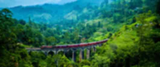 Tea Plantations to Tropical Beaches: 5 Nights in Kandy, Nuwara Eliya, and Bentota
