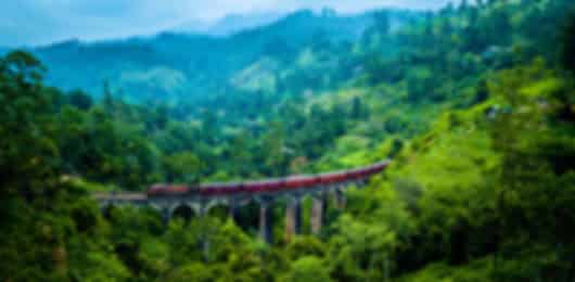 Tea Plantations to Tropical Beaches: 5 Nights in Kandy, Nuwara Eliya, and Bentota