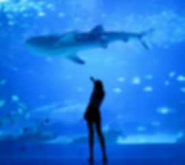 Stunning 5 Nights Family Itinerary for Dubai