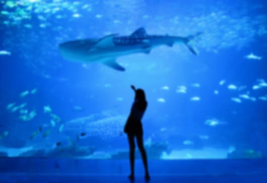 Stunning 5 Nights Family Itinerary for Dubai