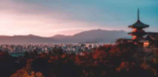 Magical 5 nights to Tokyo and Kyoto for Honeymoon