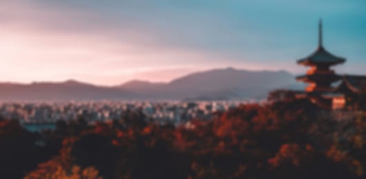 Magical 5 nights to Tokyo and Kyoto for Honeymoon