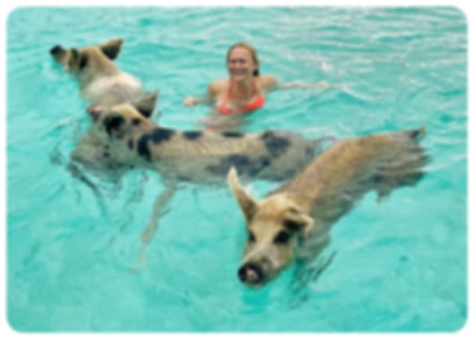 Caribbean Magic & Texan Heritage: Bahamas, Miami, Austin & San Antonio