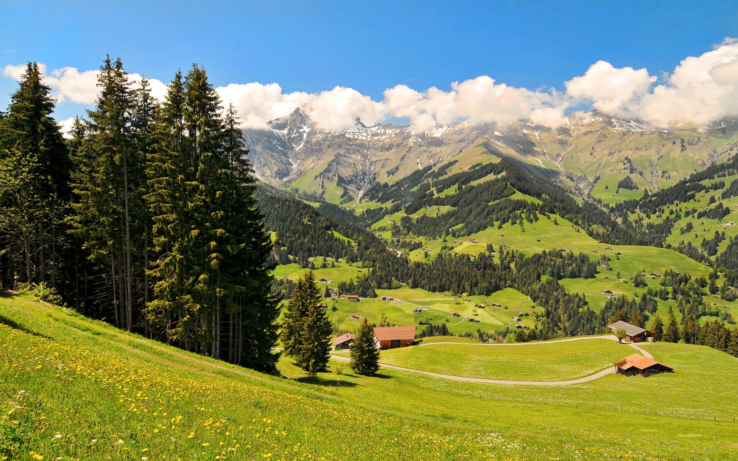 Dream 9 Days Switzerland Trip Package