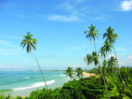Enchanting Escapade: 6 Nights in Kandy, Nuwara Eliya, and Bentota