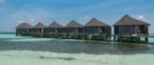 A Dazzling Maldives Holiday Package to the Taj Coral Reef Resort & Spa