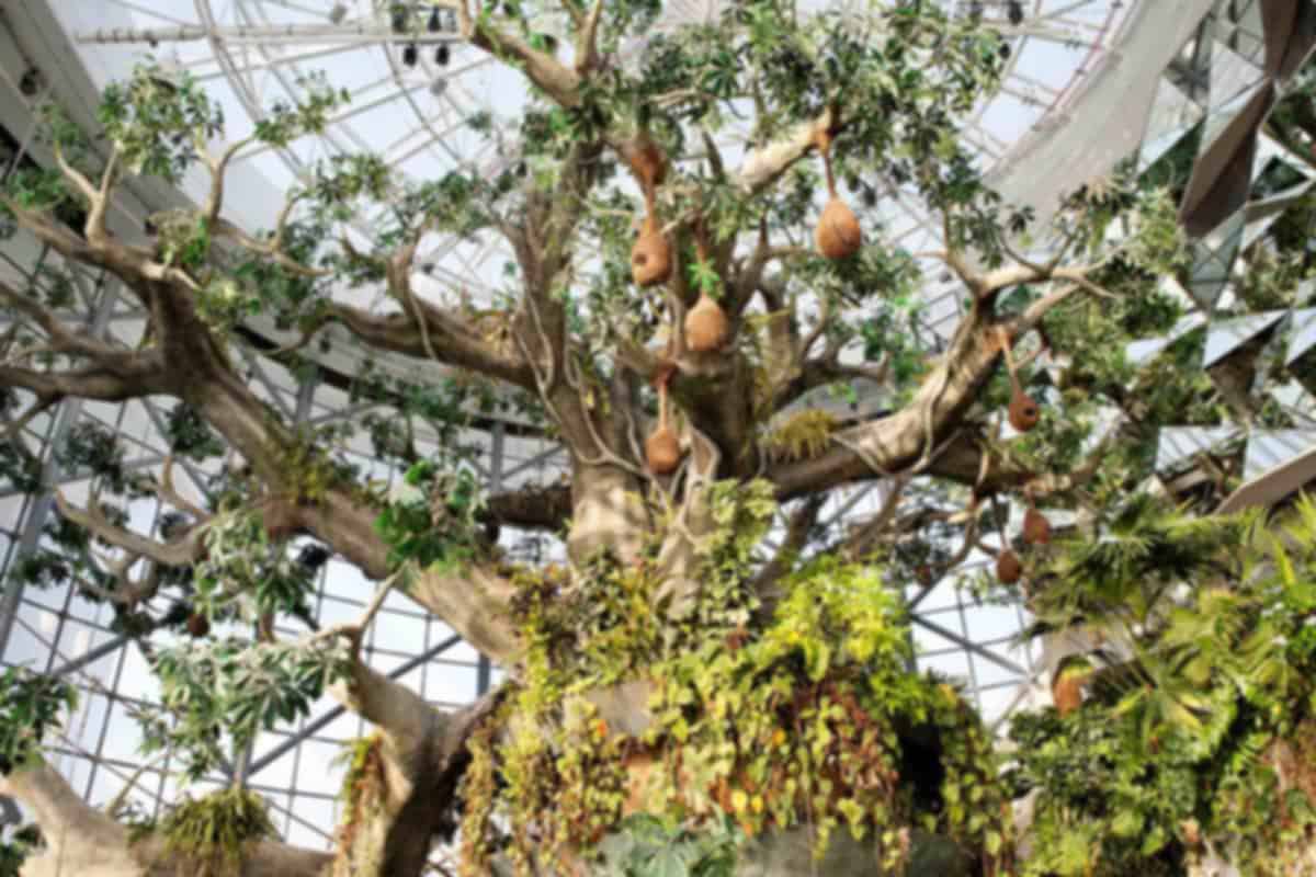 Dubai Green Planet Experience
