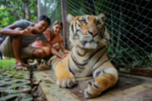 5 Nights Itinerary Include Krabi, Phi Phi & Phuket