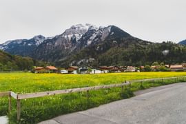 Swiss Family Packages For 10 Nights From India