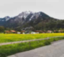 Swiss Family Packages For 10 Nights From India