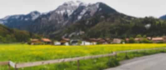 Swiss Family Packages For 10 Nights From India