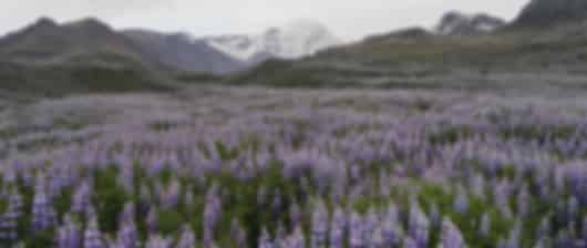 Glorious 7 day trip to Iceland for Honeymoon