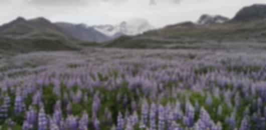 Glorious 7 day trip to Iceland for Honeymoon