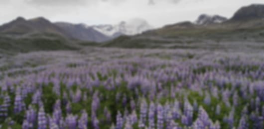 Glorious 7 day trip to Iceland for Honeymoon