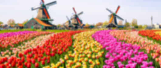 An incredible 9 night Netherlands itinerary for an unforgettable vacation