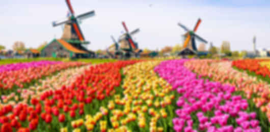 An incredible 9 night Netherlands itinerary for an unforgettable vacation