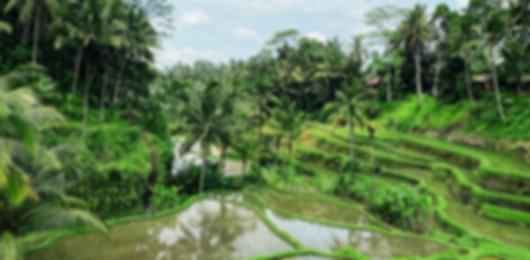 Heavenly 8 Nights Bali Indonesia Package from Ahmedabad