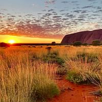 Memorable family vacations to get the best of Australia