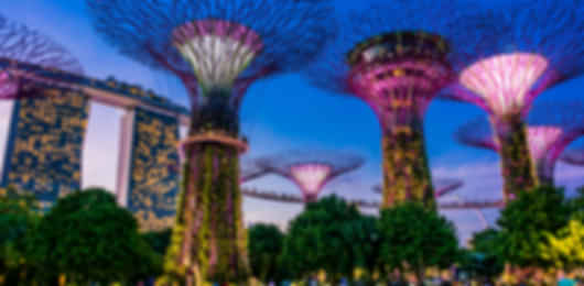Thrills and Smiles: A Singapore Family Vacation